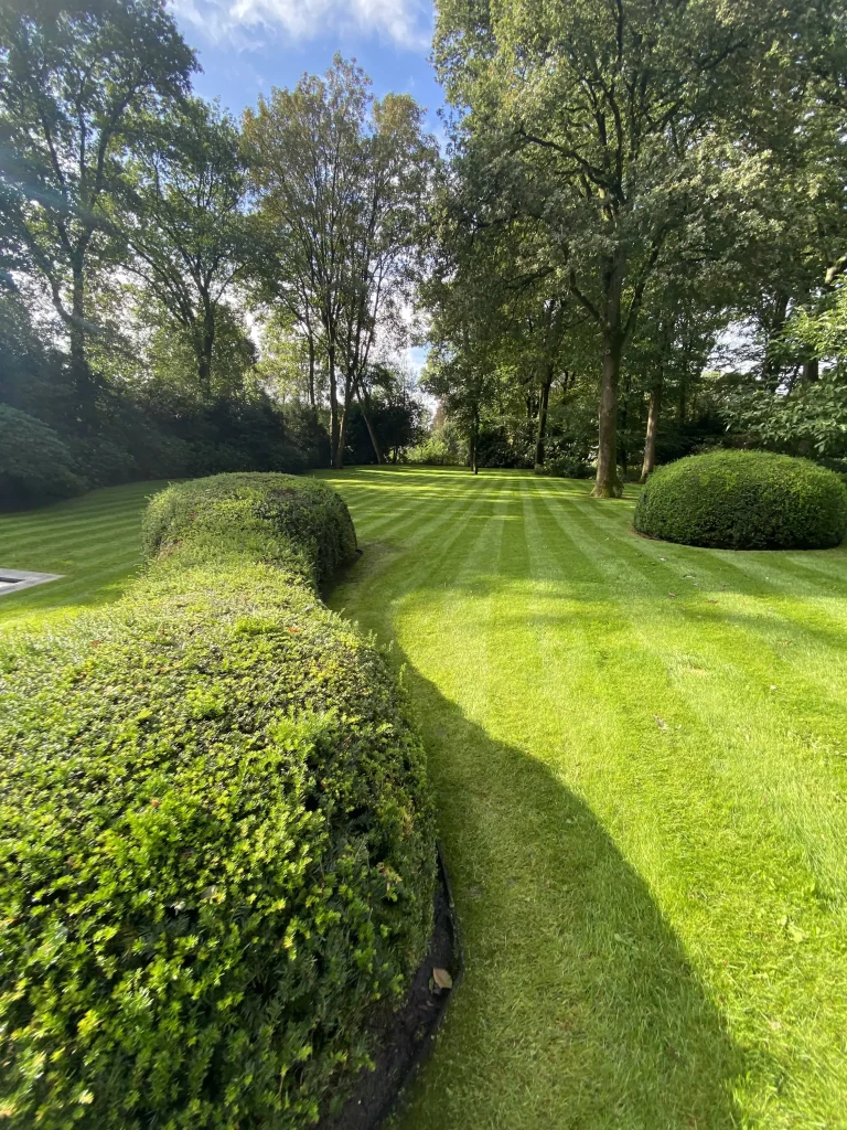 Tuinbeeld